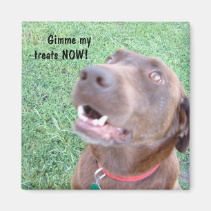Treedt NU Magnet