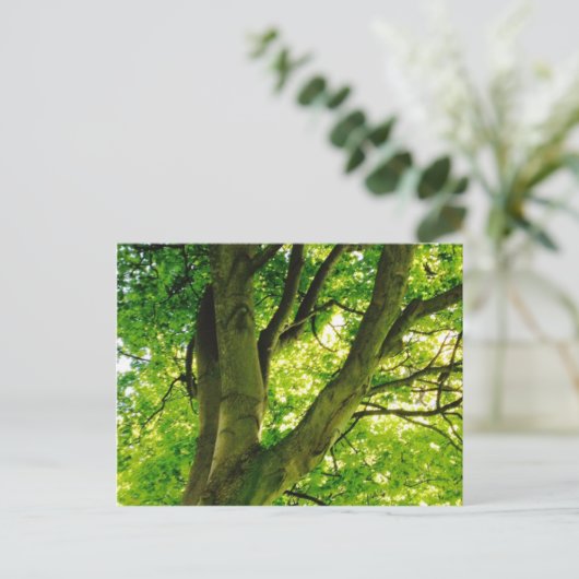 Treee Briefkaart (Staand voorkant)