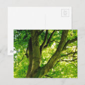 Treee Briefkaart (Voorkant / Achterkant)