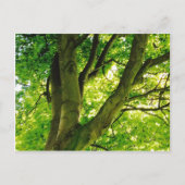 Treee Briefkaart (Voorkant)