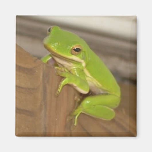 TreeFrog1 magneet (Voorkant)