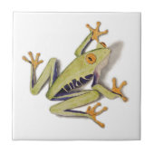 treefrog.jpg tegeltje (Voorkant)