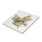 treefrog.jpg tegeltje (Zijkant)