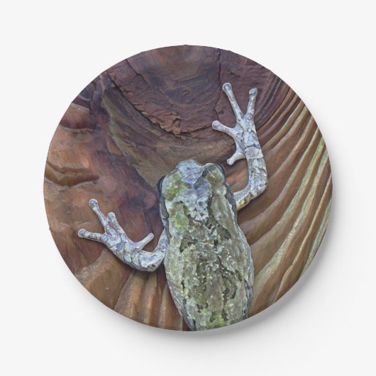 Treefrog op Cedar Fence Papieren Bordje (Voorkant)
