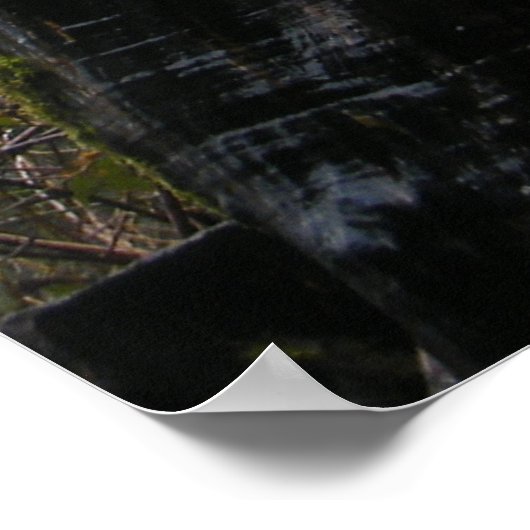 Treegina Poster (Hoek)