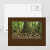 TreeHouse Montage Briefkaart (Voorkant / Achterkant)