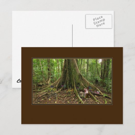 TreeHouse Montage Briefkaart (Voorkant / Achterkant)