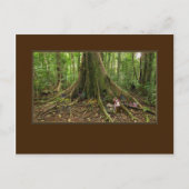 TreeHouse Montage Briefkaart (Voorkant)