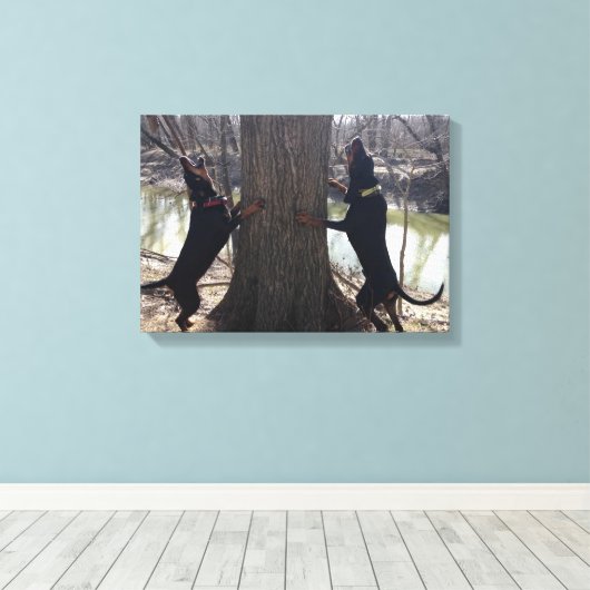 Treeing Coon Hounds Canvas (Insitu (Houten vloer))