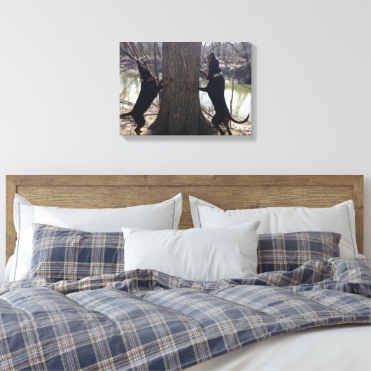 Treeing Coon Hounds Canvas Afdruk (Insitu (Slaapkamer))