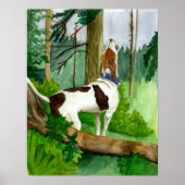 Treeing Walker Coonhound Dog Portret Poster (Voorkant)