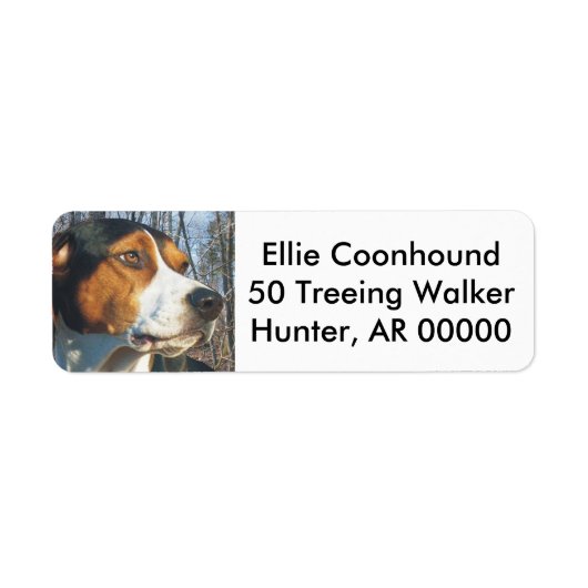 Treeing Walker Coonhound Etiket (Voorkant)