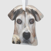 Treeing Walker Coonhound Hound Dog Ornament (voorkant)