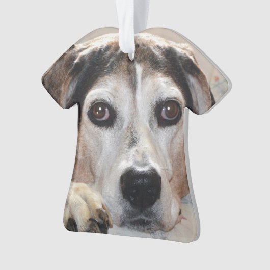 Treeing Walker Coonhound Hound Dog Ornament (voorkant)