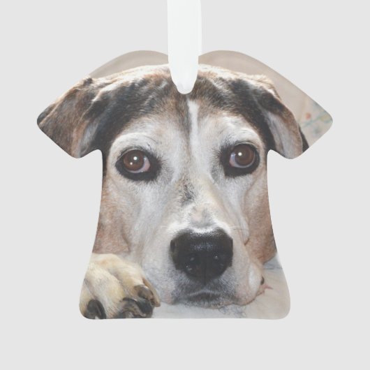 Treeing Walker Coonhound Hound Dog Ornament (achterkant)