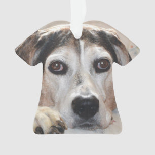 Treeing Walker Coonhound Hound Dog Ornament