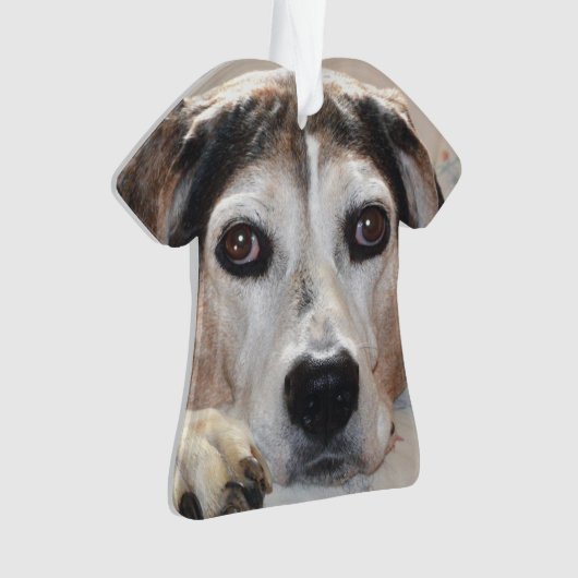 Treeing Walker Coonhound Hound Dog Ornament (voorkant)