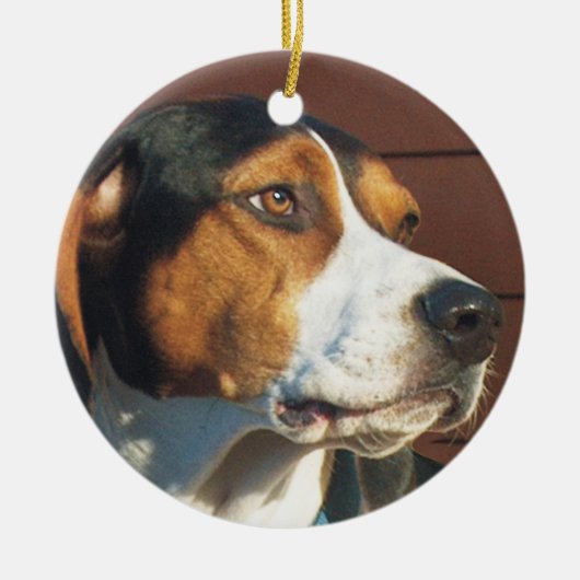 Treeing Walker Coonhound Keramisch Ornament (Voorkant)