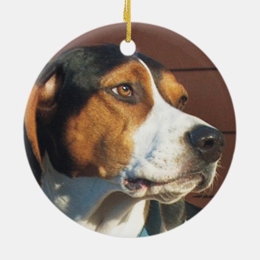 Treeing Walker Coonhound Keramisch Ornament (Achterkant)