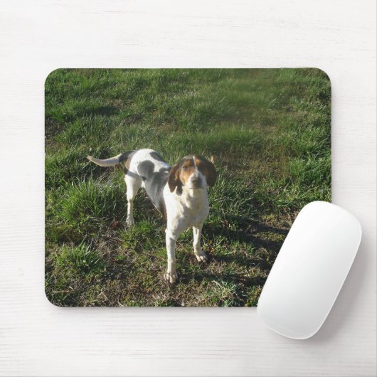 Treeing Walker Coonhound Mousepad Muismat (Met muis)