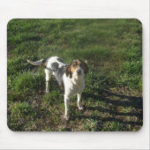 Treeing Walker Coonhound Mousepad Muismat (Voorkant)