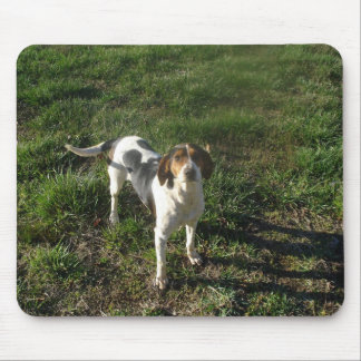 Treeing Walker Coonhound Mousepad Muismat