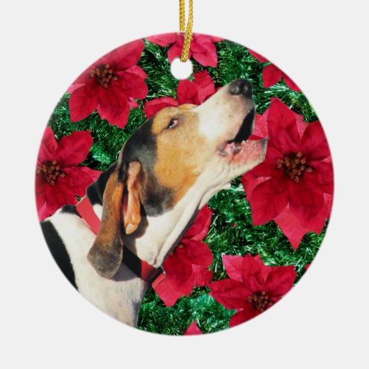 Treeing Walker Coonhound Poinsettias Keramisch Ornament (Voorkant)