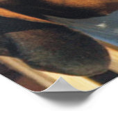 Treeing Walker Coonhound Poster (Hoek)