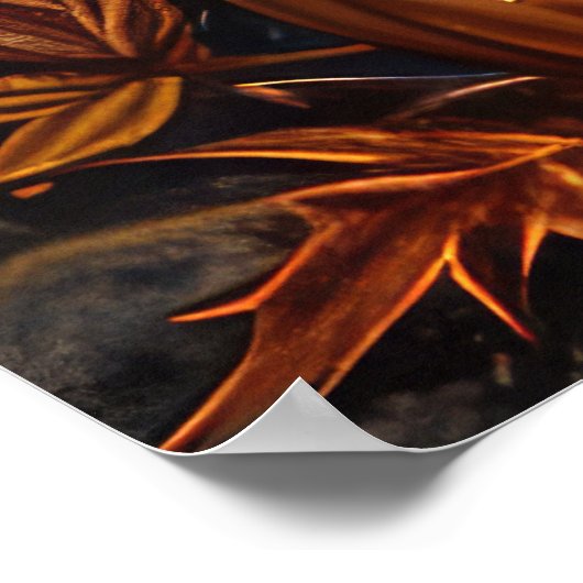 Treeing Walker Halloween Spoken Poster (Hoek)