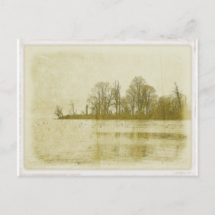 Treeline Briefkaart