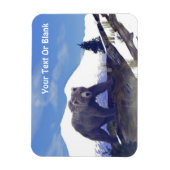 Treeline Grizzly Magneet (Verticaal)