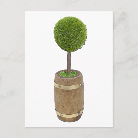 TreePlantedRainBarrel050811 Briefkaart (Voorkant)