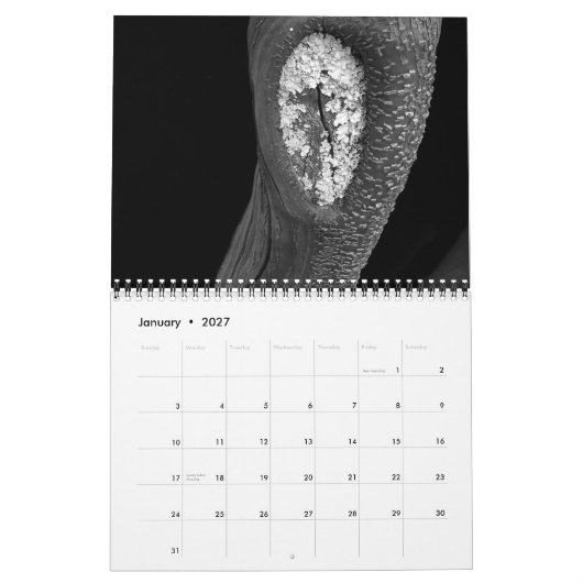 Trees 2010 kalender (Jan 2027)