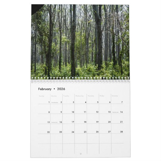 Trees 2026 Calendar Kalender (Feb 2026)