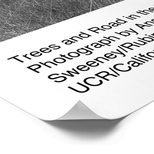 Trees and Road, februari 1966, Ansel Adams Poster (Hoek)