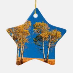 Trees Autumn Aspen Yellowstone Wyoming Keramisch Ornament