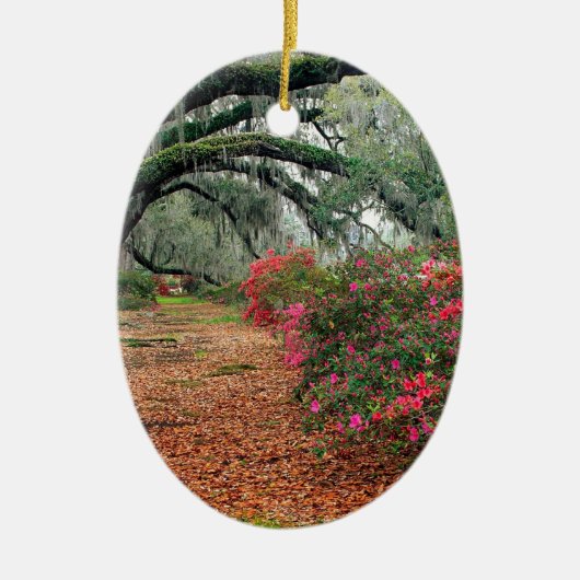 Trees Azaleas Oaks Magnolia Charleston Keramisch Ornament (Voorkant)
