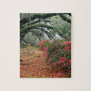 Trees Azaleas Oaks Magnolia Charleston Legpuzzel