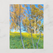 Trees Briefkaart (Voorkant)