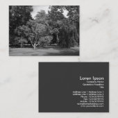 Trees, Bute Park, Cardiff BW Visitekaartje (Voorkant / Achterkant)