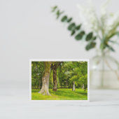 Trees Bute Park, Cardiff. Visitekaartje (Staand voorkant)