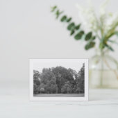 Trees, Bute Park, Cardiff Visitekaartje (Staand voorkant)