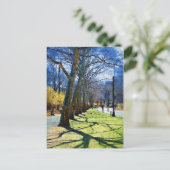 Trees Central Park NY Briefkaart (Staand voorkant)