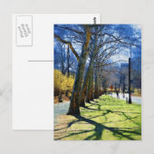 Trees Central Park NY Briefkaart (Voorkant / Achterkant)