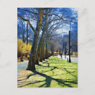 Trees Central Park NY Briefkaart