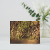 Trees Covering Road in Noord-Ierland Briefkaart (Staand voorkant)