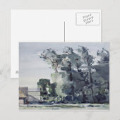 Trees - Dawn Briefkaart (Voorkant / Achterkant)