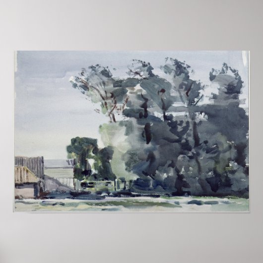 Trees - Dawn Poster (Voorkant)