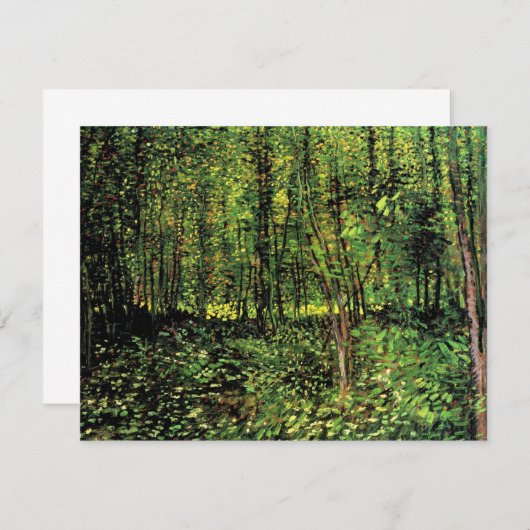 Trees en Undergrowth door Vincent van Gogh (Voorkant / Achterkant)