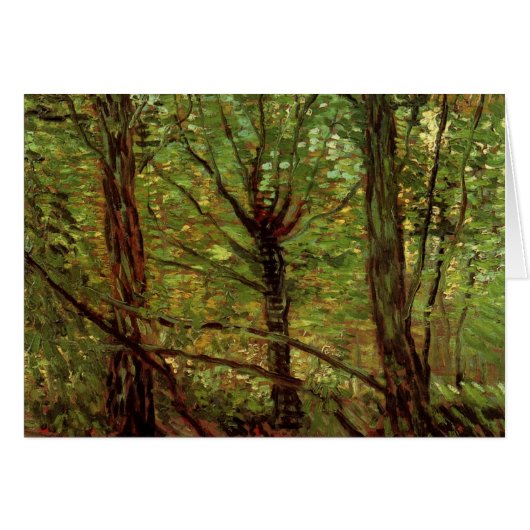 Trees en Undergrowth door Vincent van Gogh (Voorkant Horizontaal)